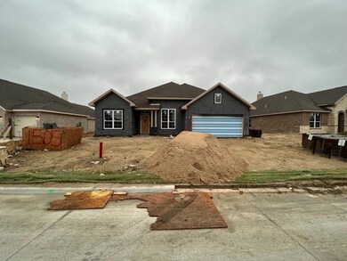 1505 Smoke Signal Ln, Weatherford, TX 76087 - photo 2