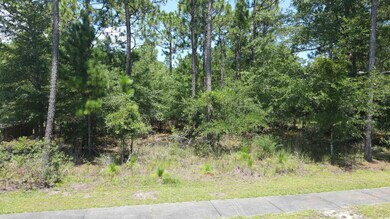 View of undeveloped land