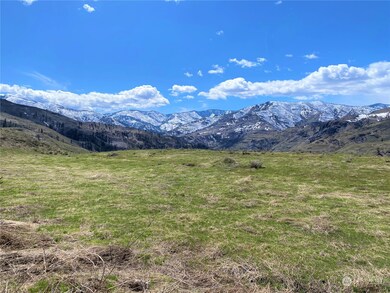 0 Lot 4 Steelhead Short Plat, Methow, WA 98834 - photo 7