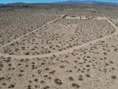 60676 Campanula St, Joshua Tree, CA 92252 - photo 5