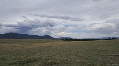 82 Sunset Crater View, Hartsel, CO 80449 - photo 4