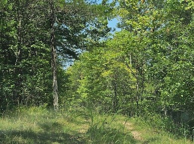 000 Hh Block 4 Lot 3 Ln, Theodosia, MO 65761 - photo 7