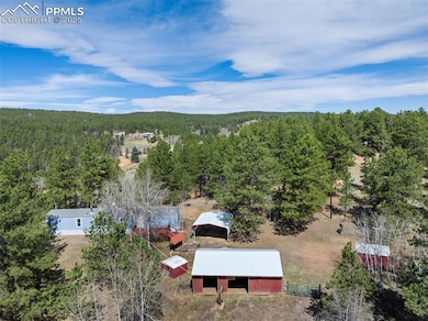 1360 Kiowa Rd, Florissant, CO 80816 - photo 4