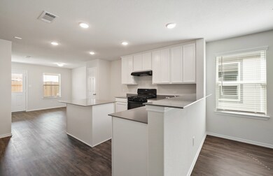 24039 Hay Needle Ln, Hockley, TX 77447 - photo 2