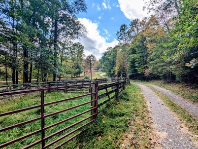 173 Hubbard Rd SW, Willis, VA 24380 - photo 3