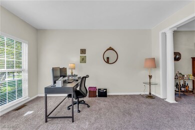 10050 Brook Rd, Olmsted Falls, OH 44138 - photo 7