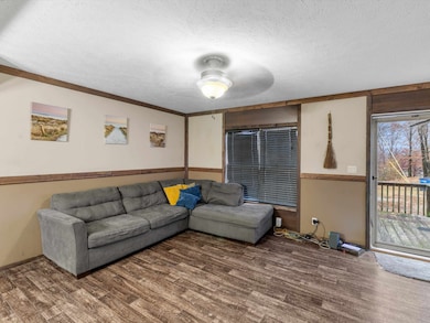 1020 Barnetts Creek Rd, Utica, KY 42376 - photo 5