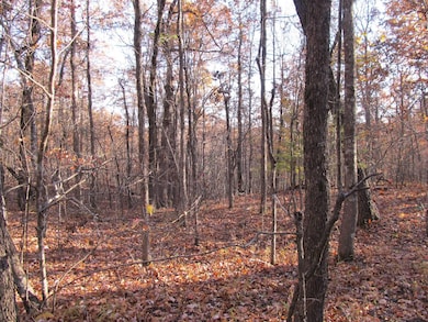 3605 Madison, Red Star, AR 72752 - photo 4