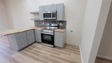 5085 Tin Top Rd unit 102, Weatherford, TX 76087 - photo 4