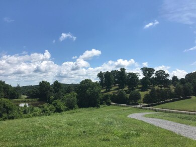 View from front porch.