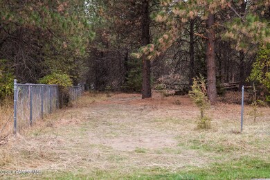 FrostyPine-5