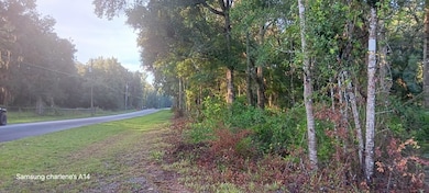 74 terr NW 153rd Ln, Andrews, FL 32626 - photo 2