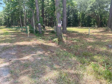 9890 Ocean Hwy, Pawleys Island, SC 29585 - photo 3