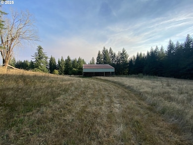 23801 NE Muncton Dr, Yacolt, WA 98675 - photo 7