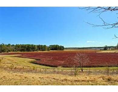 12 Pine Ridge Way, Carver, MA 02330 - photo 4