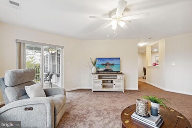 6500 Ridenour Way E unit 3A, Sykesville, MD 21784 - photo 6