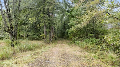 58-web-or-mls-DJI_0460