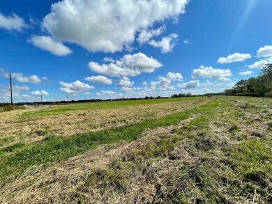 0 Cr 112 Ashwood Rd unit 775894, Bay City, TX 77414 - photo 3