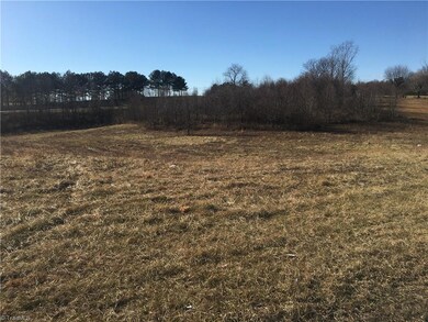 00 George Chandler Rd, Mount Airy, NC 27030 - photo 3