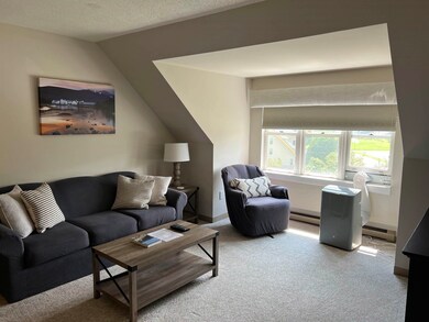 28 Packard Rd unit 633, Waterville Valley, NH 03215 - photo 5