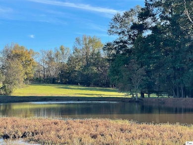 2 Louisiana 2, Lisbon, LA 71040 - photo 6