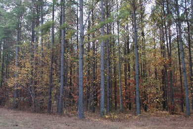 465 Compass Dr, Jasper, TN 37347 - photo 6