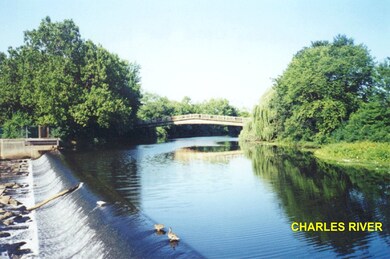 194 Lexington St unit 7, Watertown, MA 02472 - photo 6