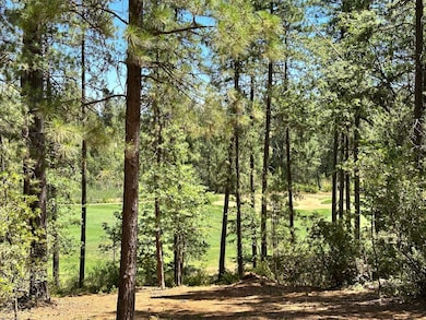 1815-Lot 397 E Summit View Dr, Meadow Vista, CA 95722 - photo 2