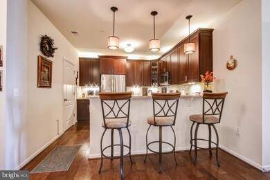 41900 Metamorphic Square unit 302, Aldie, VA 20105 - photo 3