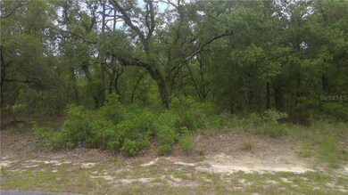 24075 SW Beaver Dr unit 1, Dunnellon, FL 34431 - photo 2