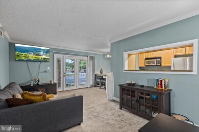 15550 Horseshoe Ln, Woodbridge, VA 22191 - photo 4