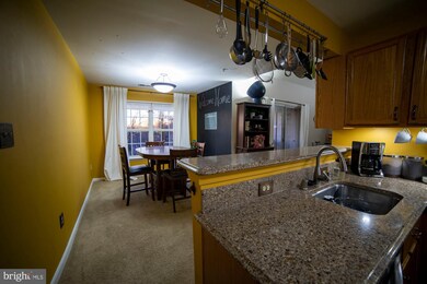 9151 Gracious End Ct unit 302, Columbia, MD 21046 - photo 6