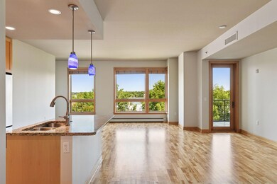 4201 Sunset Dr unit N407, Spring Park, MN 55384 - photo 6