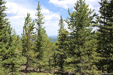 00 Fs-411 1, Black Hawk, CO 80422 - photo 7