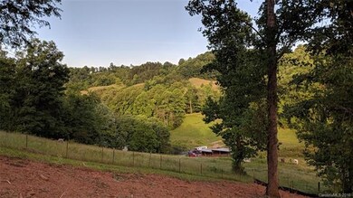 3889 New Leicester Hwy, Leicester, NC 28748 - photo 2