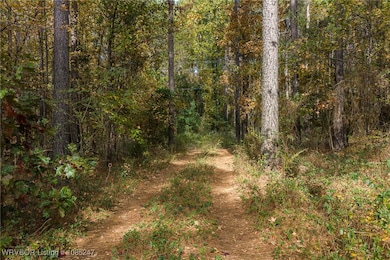 6572 Arkansas 23, Booneville, AR 72927 - photo 3