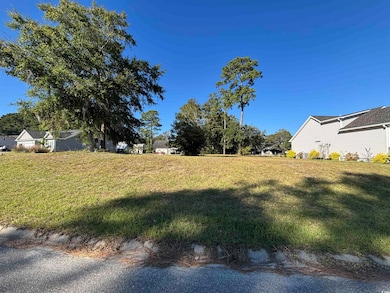 Lot 161 Seaport Cir, Georgetown, SC 29440 - photo 4