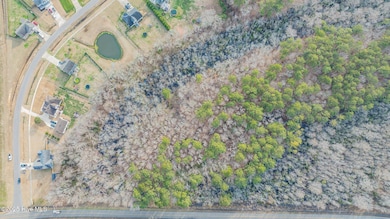 3-web-or-mls-DJI_0019