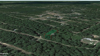 Blackfoot Dr unit Jefferson TX 75657, Jefferson, TX 75657 - photo 7