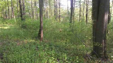 0 Albany Turnpike unit 201319675, Chatham, NY 12136 - photo 2