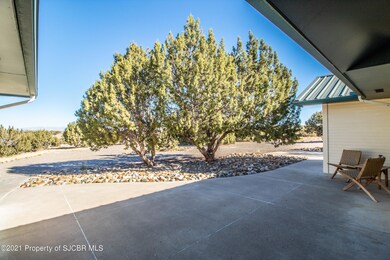 248 Road 3950, Farmington, NM 87401 - photo 3