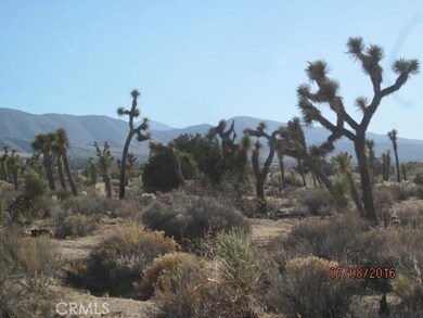 0 Hemlock unit CV17263110, Pinon Hills, CA 92372 - photo 5