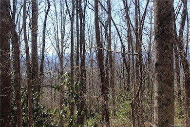 View potential is incredible!  Easy build site wil
