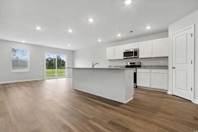 Kitchen featuring dark wood-type flooring, light s