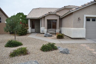 Front Yard 4