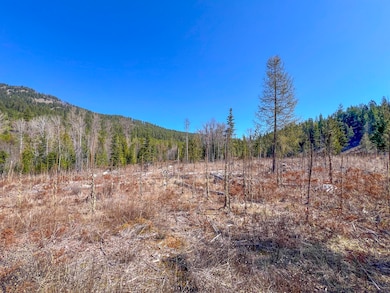 26xx Flowery Trail Rd, Chewelah, WA - photo 5