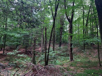 0 Lot 1 & Lot Off Stoney Hollow Rd unit PM-96806, Long Pond, PA 18334 - photo 2