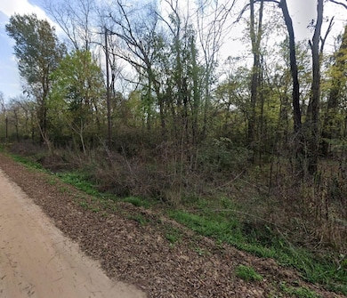 0 River St, Coldspring, TX 77331 - photo 2