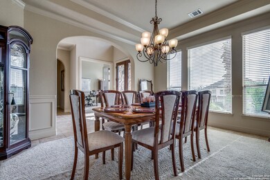 354 Pueblo Pintado, Helotes, TX 78023 - photo 6