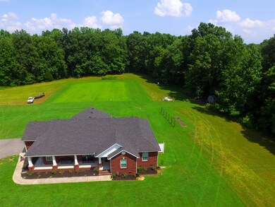 View showing the back yard and how large the lot is.